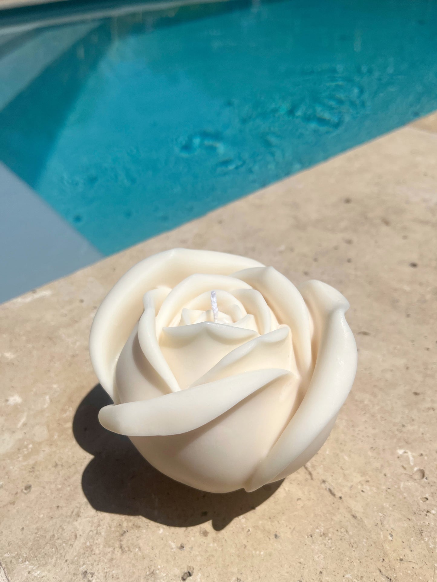 Rose Éclatante